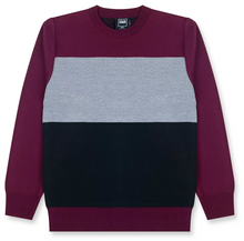 Boys Stylish Crew Sweater (24/Case)